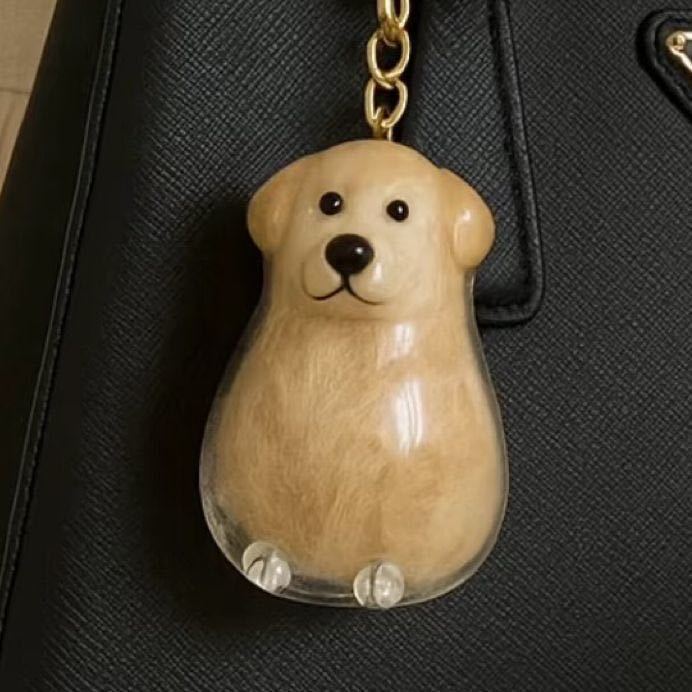 Forever Pet – A Gentle Way to Cherish Dog Memories