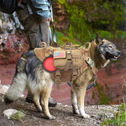 Malinois K9 Titan Tactical Harness Set