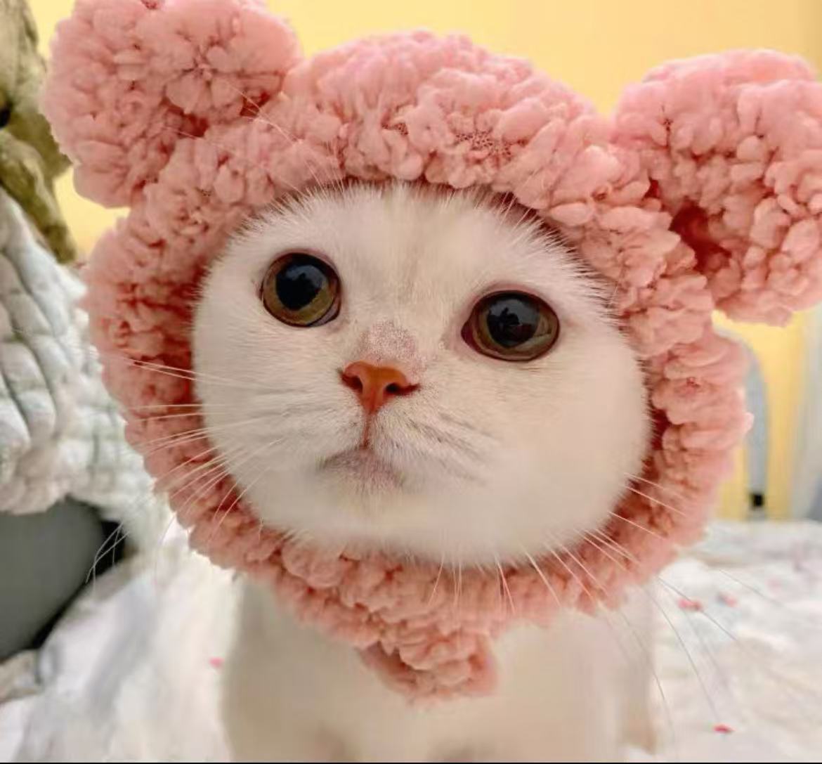 PurrPlush Hat