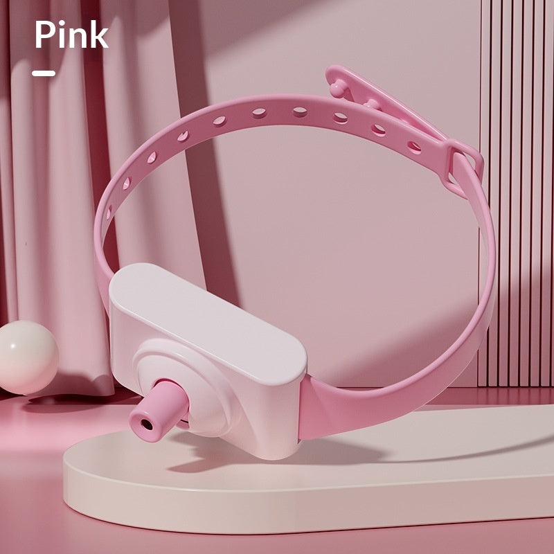 PawTech Laser Collar - Playtime Anytime!
