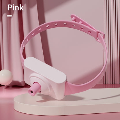 PawTech Laser Collar - Playtime Anytime!