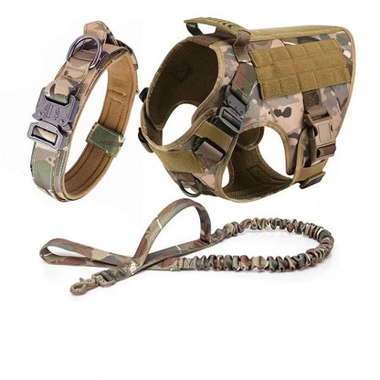 BattleTrail Dog Gear Set