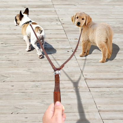 FlexLead Leather Double Dog Leash