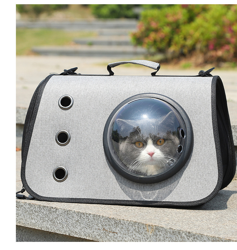 FoldiPaw Carrier