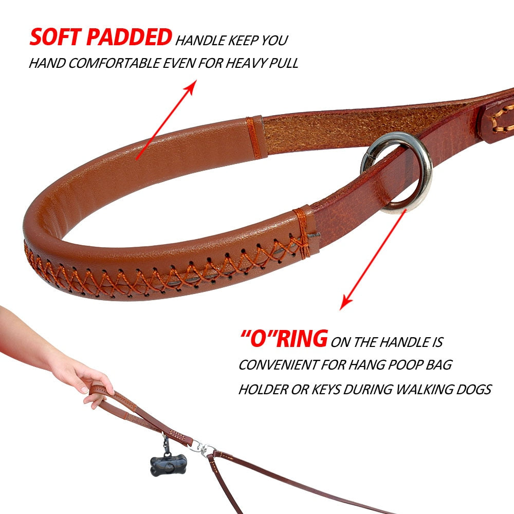 FlexLead Leather Double Dog Leash