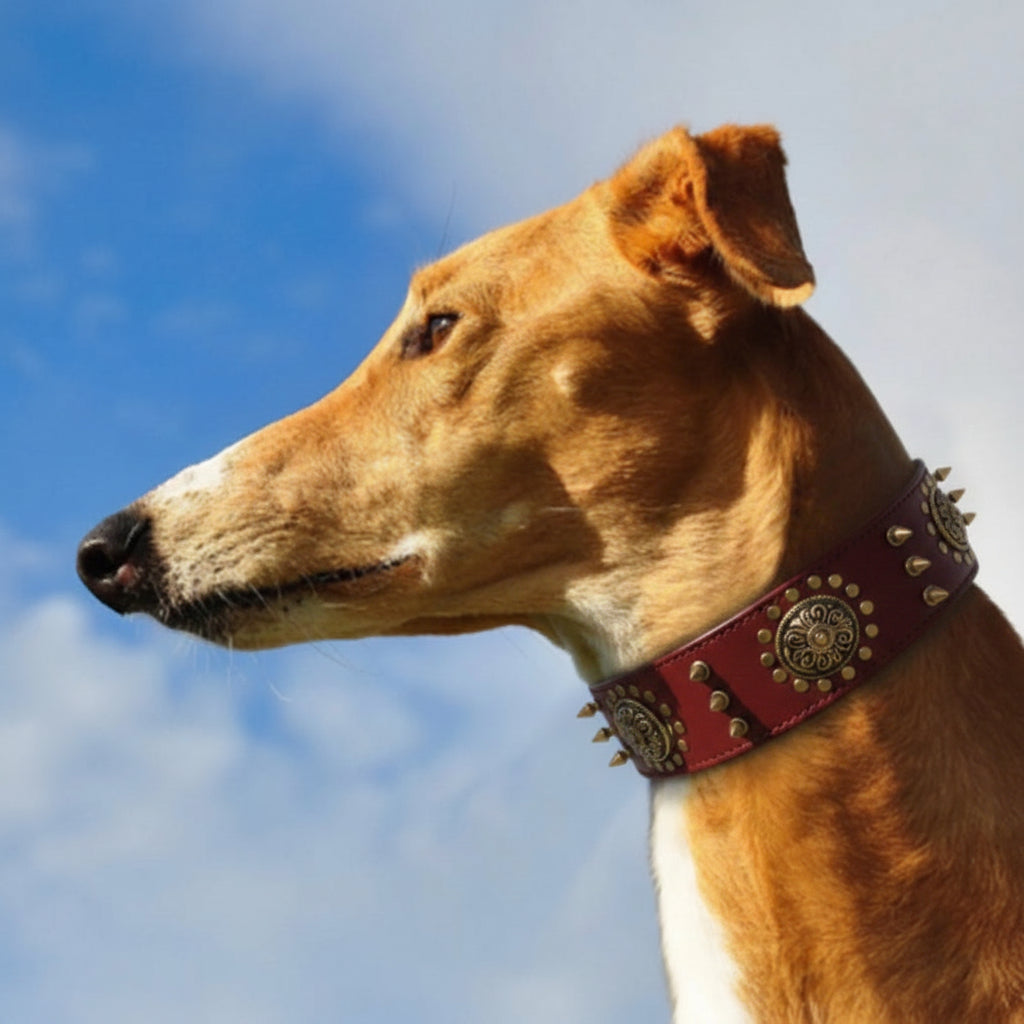 2859cf5a81dd416f33ecd695349d271e