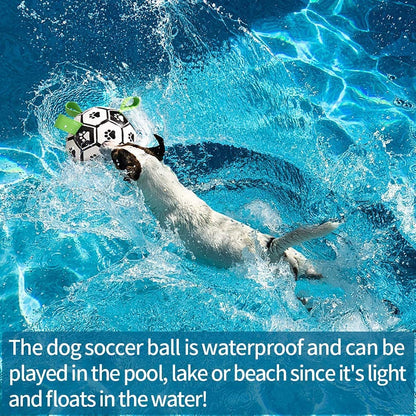 PawKick Pro Soccer Ball for Dogs