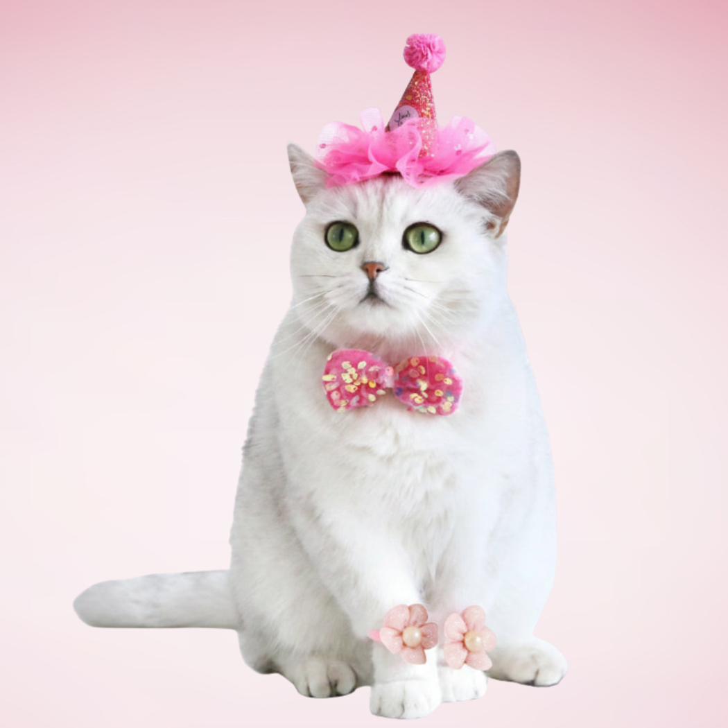Jireh Bow Party Set