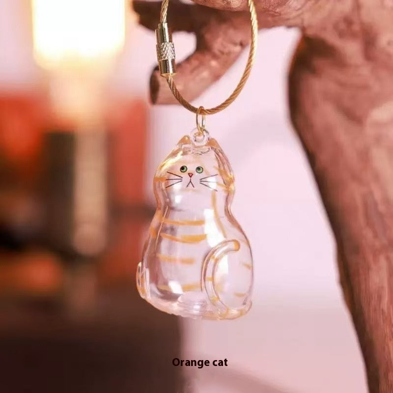 Forever Pet – A Gentle Way to Cherish Cat Memories