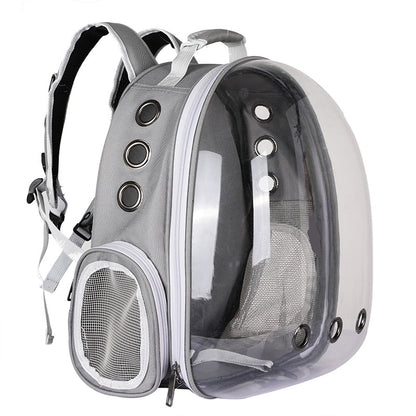 The Purr & Go Bubble Backpack for Travel Cats