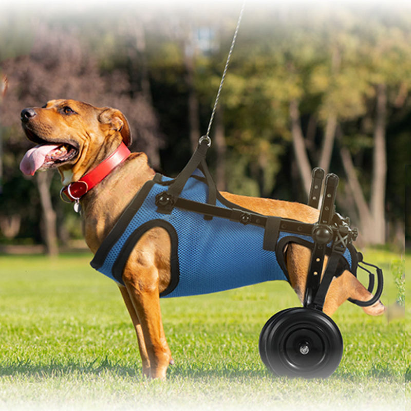 Nasofir Pet Walking Cart For Small Dogs