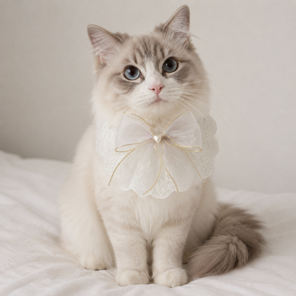Bella Bow