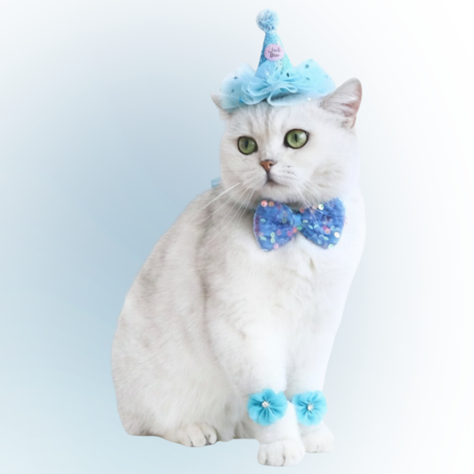Jireh Bow Party Set