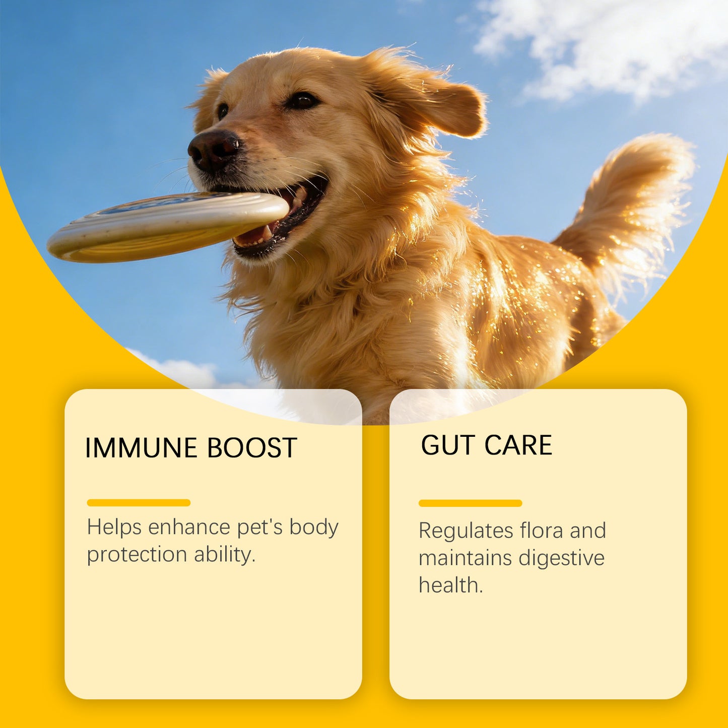 Kriath Mushroom Immune Support for Pets