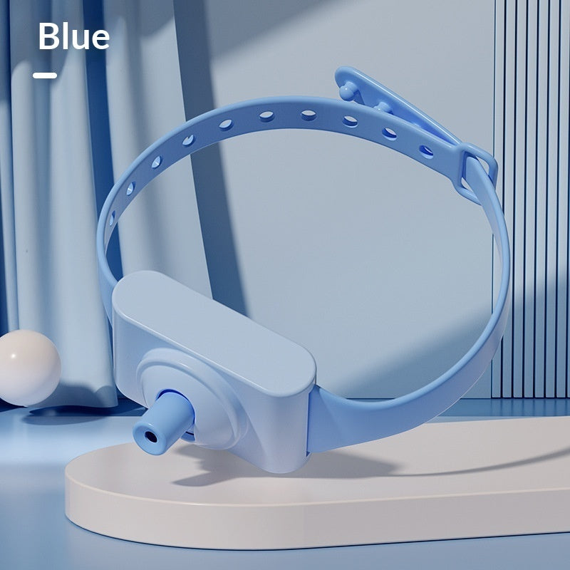 PawTech Laser Collar - Playtime Anytime!