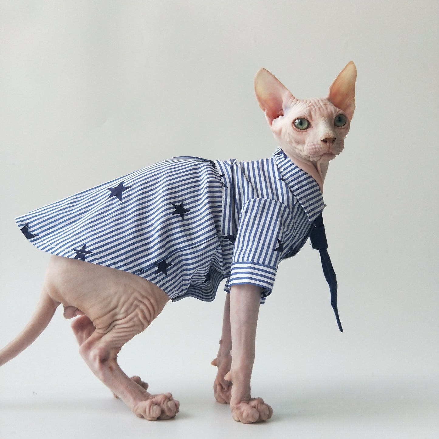 Whisker Lab – Soft Airy Cat Shirt