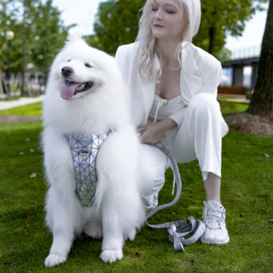 PAWOOF Harness