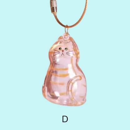 Forever Pet – A Gentle Way to Cherish Cat Memories