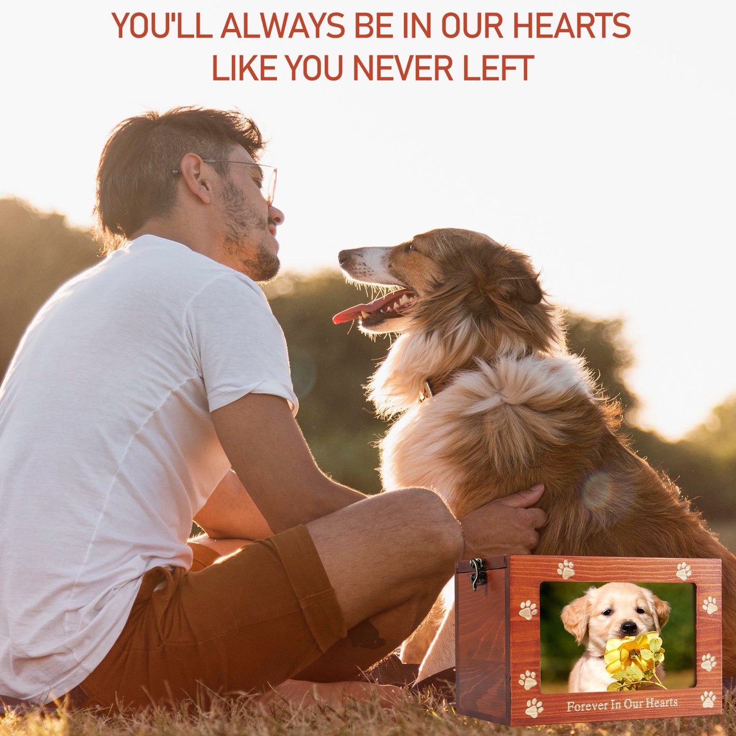 6c9fc25bdefa60fc2a2e3d6fe0cf0486
