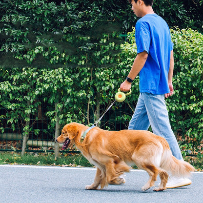 LumiLead Retractable Leash