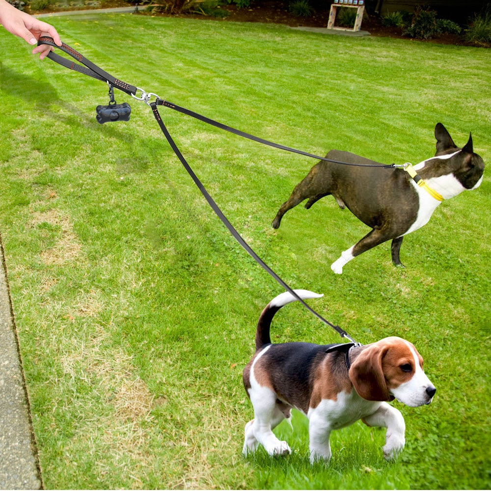 FlexLead Leather Double Dog Leash