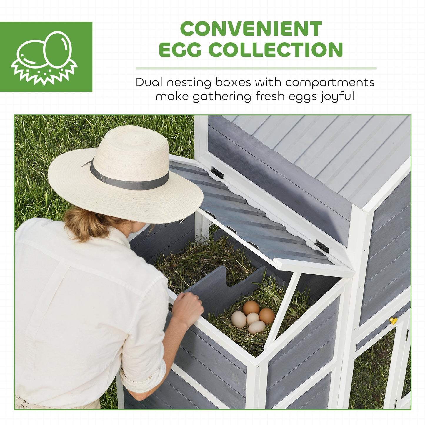 Roost & Run Large Coop