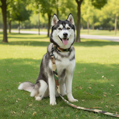 Camo Or Pink Collar & Leash Set
