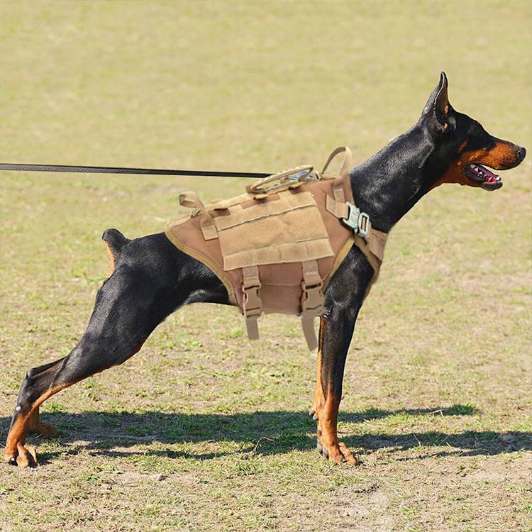 Malinois K9 Titan Tactical Harness Set