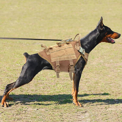 Malinois K9 Titan Tactical Harness Set