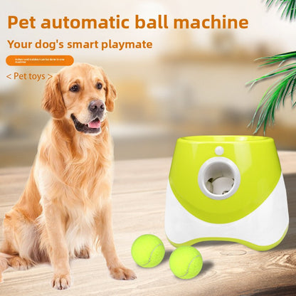 Fetch Made Easy: Automatic Ball Launcher
