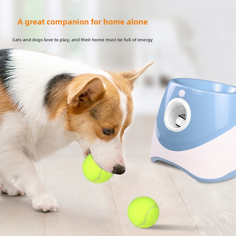 Fetch Made Easy: Automatic Ball Launcher