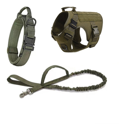 BattleTrail Dog Gear Set