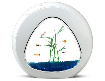 BAOFI Aquarium