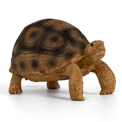 Resin Sea Turtle Aquarium Decoration – Brazilian Habitat Style Tank Ornament