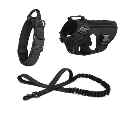 BattleTrail Dog Gear Set