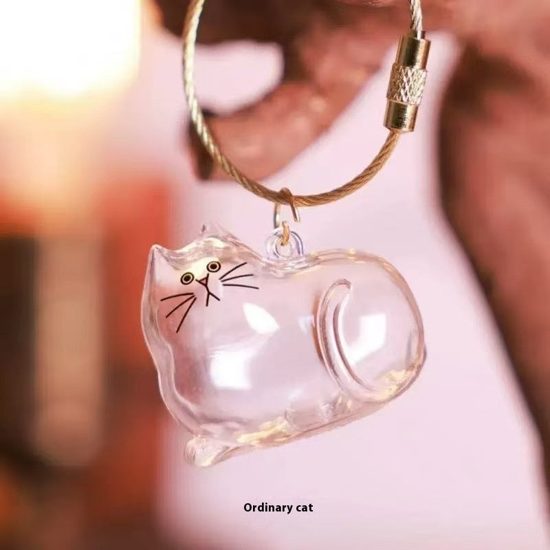 Forever Pet – A Gentle Way to Cherish Cat Memories