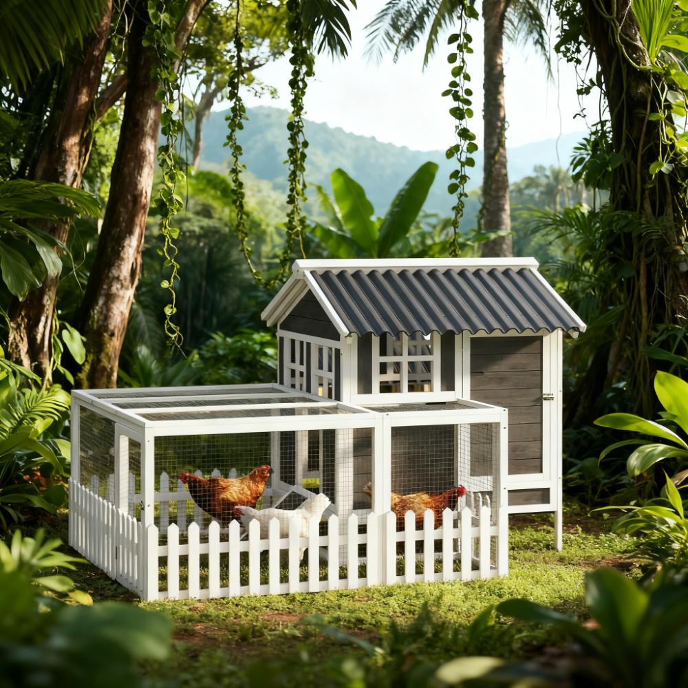 Premium Wooden Poultry Coop with Nesting Box & Run
