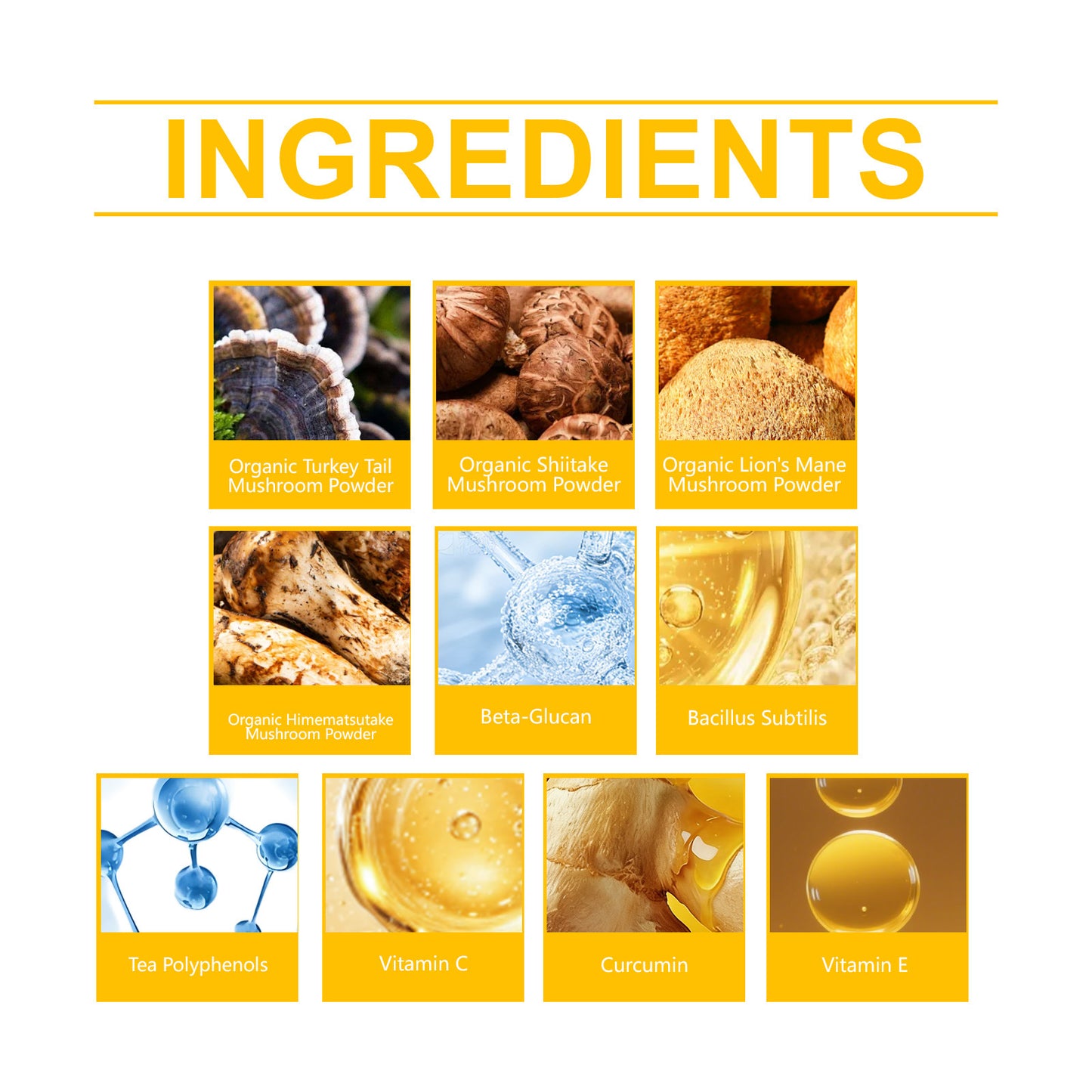 Kriath Mushroom Immune Support for Pets