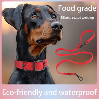 SiliconeGlide Leash Set