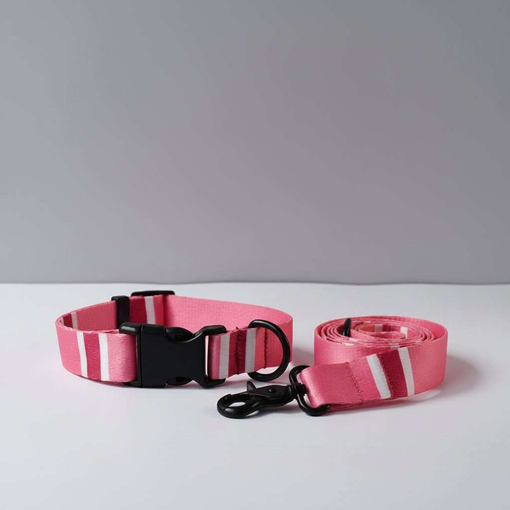 Camo Or Pink Collar & Leash Set