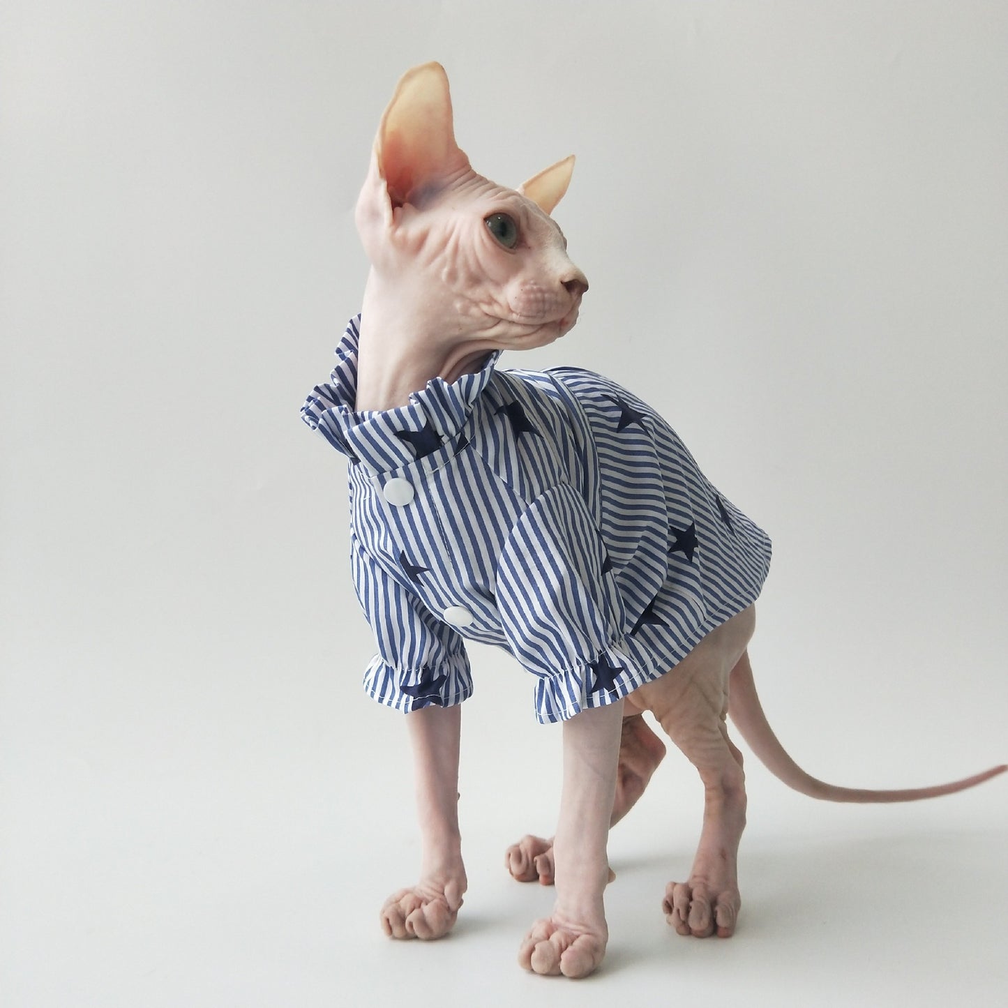Whisker Lab – Soft Airy Cat Shirt