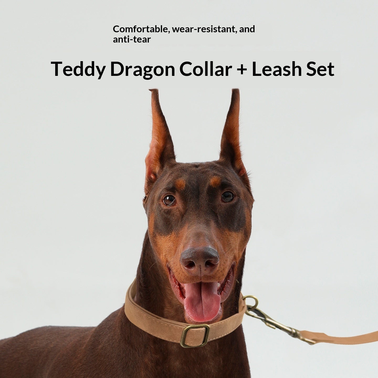 Vintage Suede Collar & Leash Set