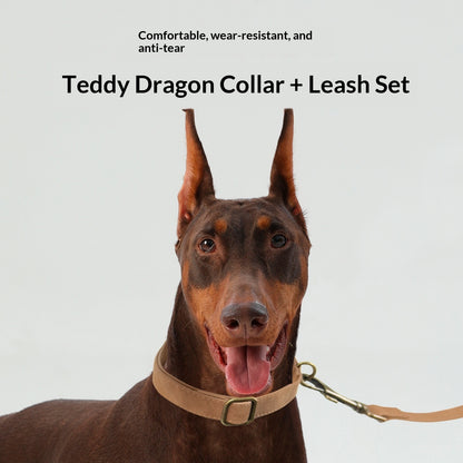 Vintage Suede Collar & Leash Set
