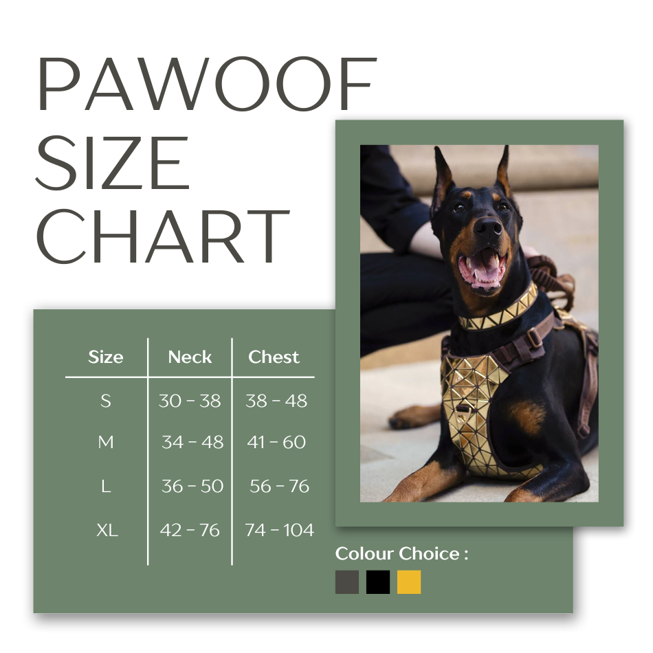 PAWOOF Harness