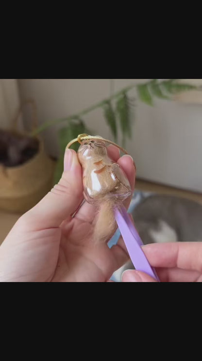 Forever Pet – A Gentle Way to Cherish Cat Memories