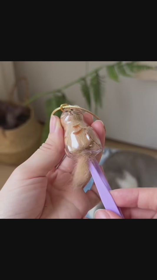 Forever Pet – A Gentle Way to Cherish Cat Memories