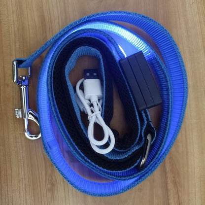 LED Luminous Rechargeable Traction Leash